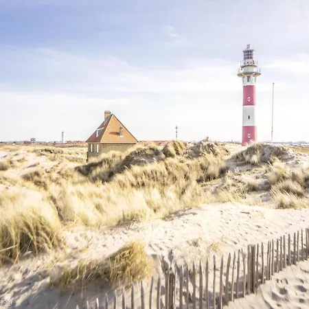 Apartment In Near The