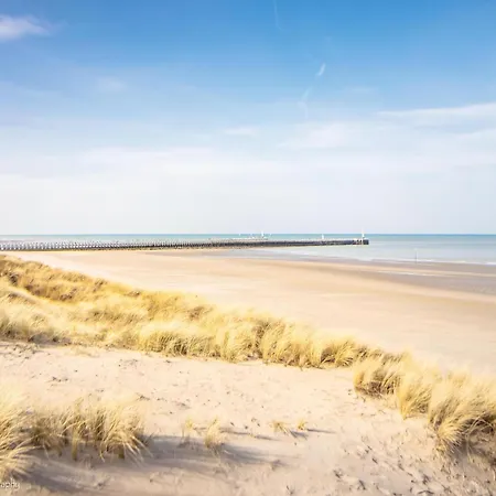 In Near The アパート *