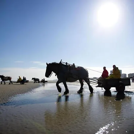 アパート In Near The ニーウポールト