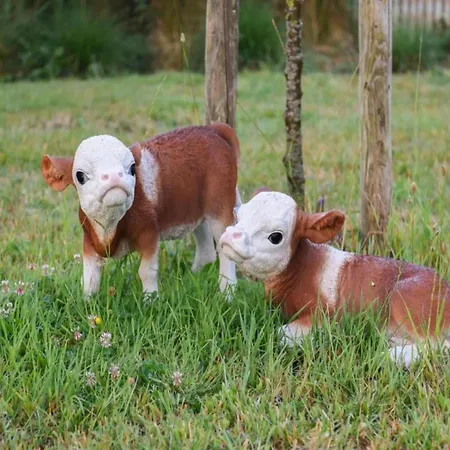 In Near The ニーウポールト